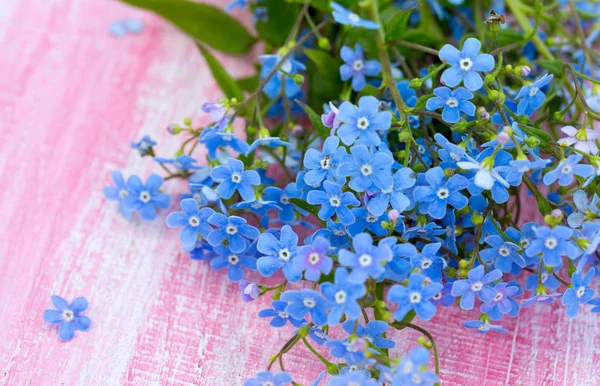 Forgetmenot Flowers Wooden Surface — Stock Photo, Image