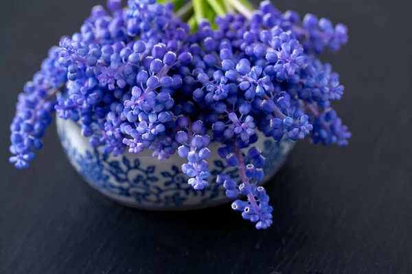 Blauwe Muscari Bloemen Druivenmost Hyacint Houten Achtergrond — Stockfoto