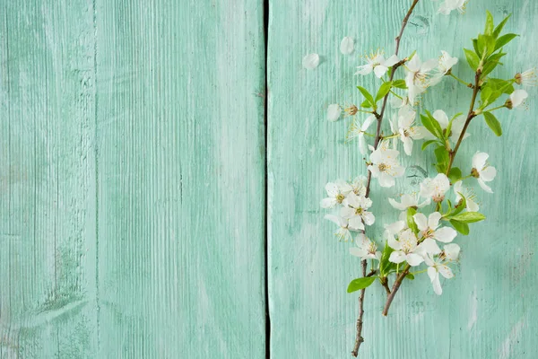 Wiosenne Kwiaty Powierzchni Drewnianych — Zdjęcie stockowe