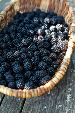 böğürtlen sepeti ahşap yüzey üzerinde