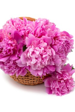 Beyaz arka plan üzerinde izole peonies sepeti