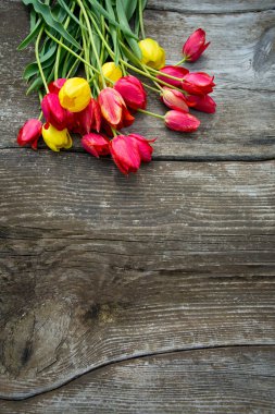 ahşap yüzey üzerinde renkli Lale