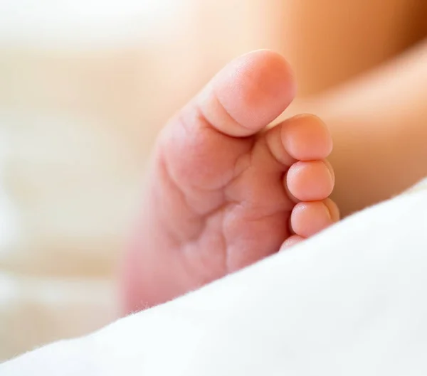 detail view of newborn toes