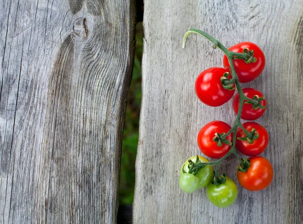 Cherry Tomatoes Wooden Background — Stock Photo, Image