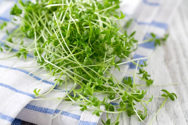 Garden Cress Yenmek Hazır — Stok fotoğraf