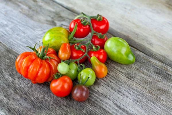 Colorful Fresh Ripe Tomatoes — Stock Photo, Image