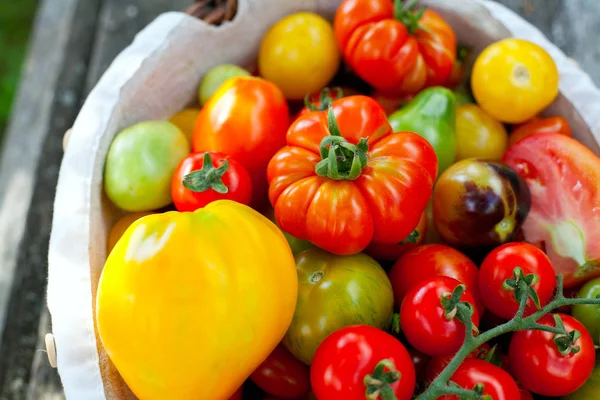 Colorful Tomatoes Basket — Stock Photo, Image