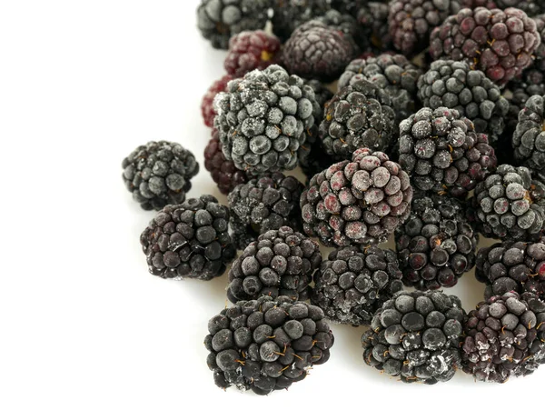 冷冻的黑莓上白色孤立 — 图库照片