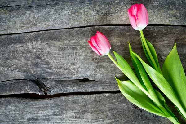 Pink Tulips Wooden Surface — Stock Photo, Image