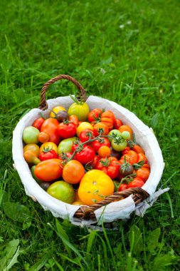 sepet içinde renkli domates