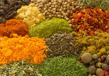 Farklı parlak otlar ve baharatlar