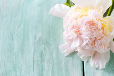 ahşap yüzeyde peonies