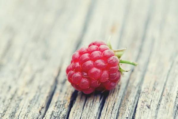 Framboises Rouges Mûres Fraîches — Photo