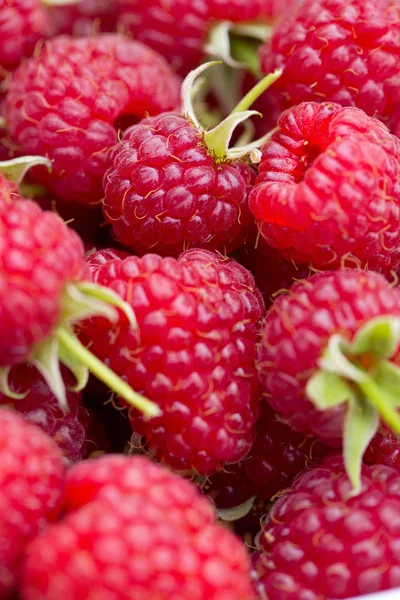 Fresh Ripe Red Raspberries — Stock Photo, Image