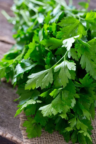 yeşil maydanoz, görünümü kadar yakın