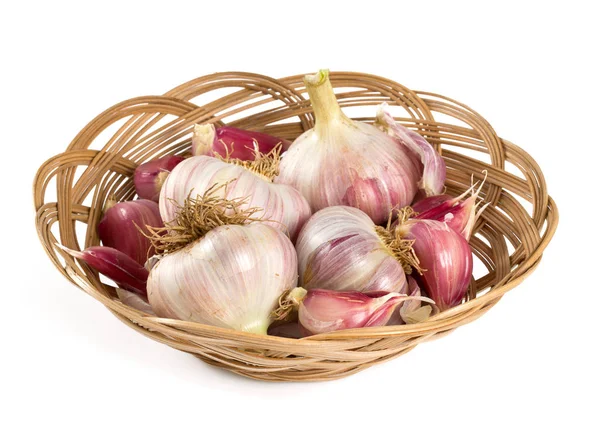 Fresh Garlic Isolated White — Stock Photo, Image