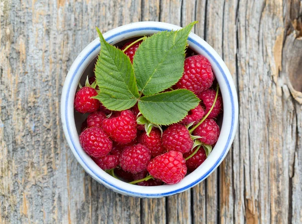 Framboises Rouges Mûres Fraîches — Photo