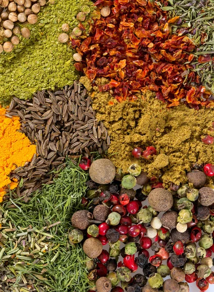 Different Bright Herbs Spices — Stock Photo, Image
