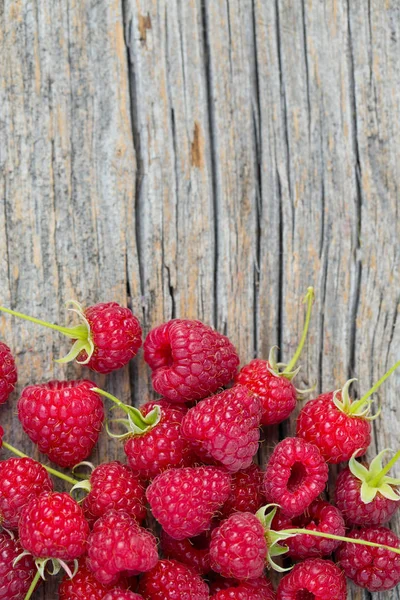 Frische Reife Rote Himbeeren — Stockfoto