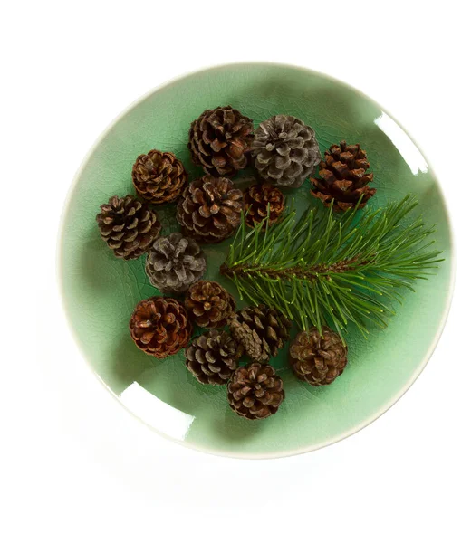 Pine Cones Branch White Background — Stock Photo, Image