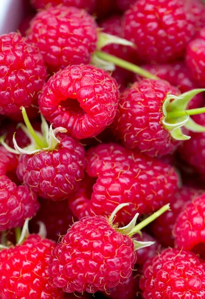 Frische Reife Rote Himbeeren — Stockfoto