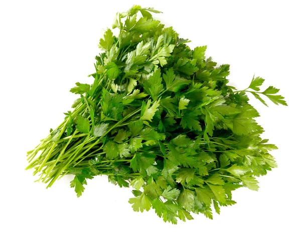 Bunch Fresh Parsley Leafs Isolated White — Stock Photo, Image
