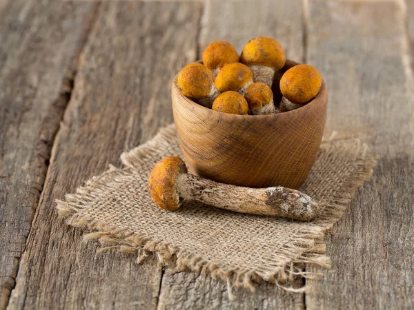 Borowik Orange Cap Powierzchni Drewnianych — Zdjęcie stockowe