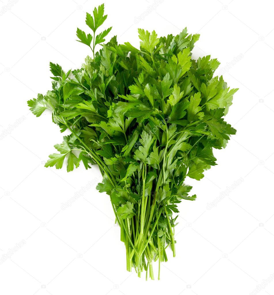 bunch of fresh parsley leafs isolated on white
