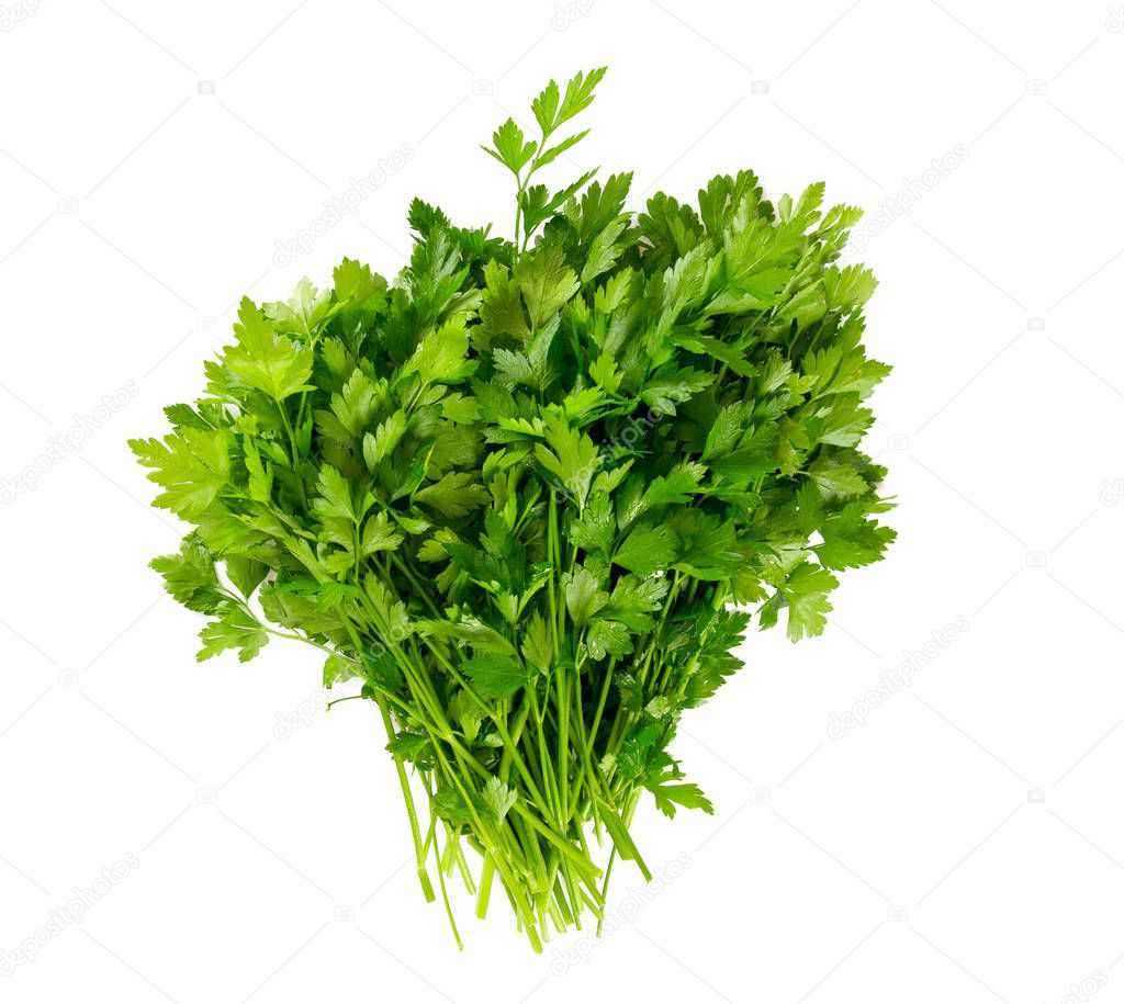 bunch of fresh parsley leafs isolated on white