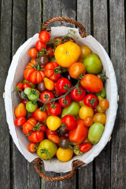 sepet içinde renkli domates