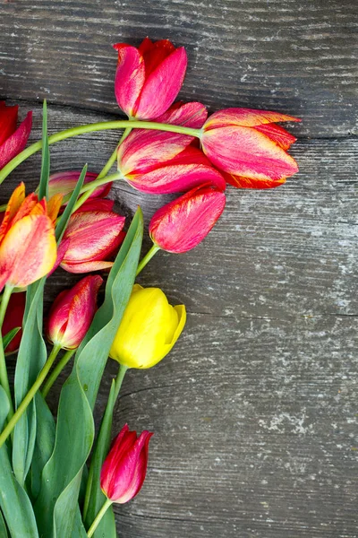 Tulipani Colorati Superficie Legno — Foto Stock