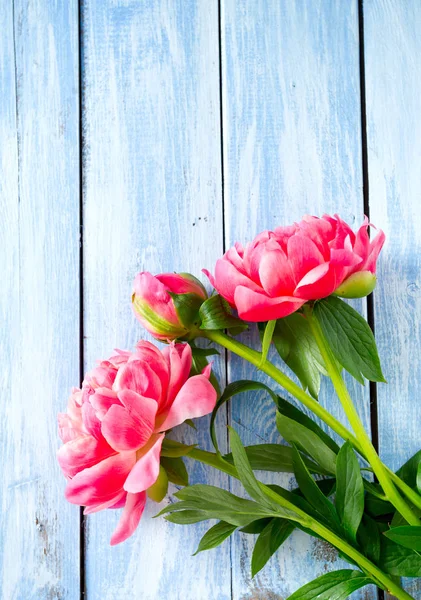 Ahşap Yüzey Üzerinde Güzel Peonies — Stok fotoğraf