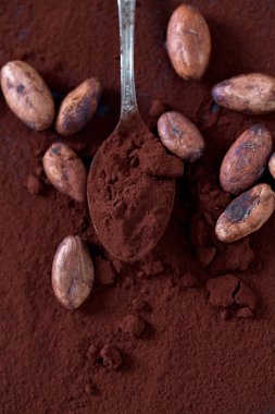 kakao çekirdekleri ve toz 