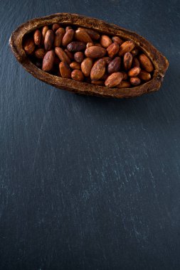 taze kahverengi kakao çekirdekleri