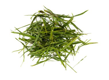 Beyaz arka plan üzerinde izole bambu yaprak çay
