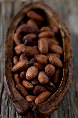 taze kahverengi kakao çekirdekleri