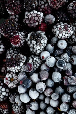 Dondurulmuş yaban mersini ve böğürtlen