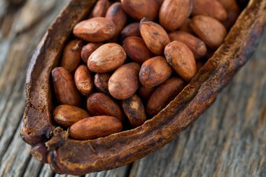 taze kahverengi kakao çekirdekleri