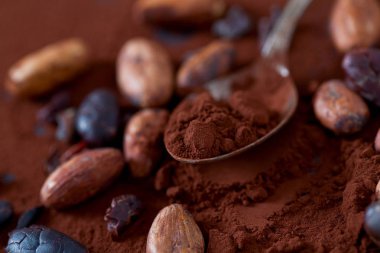 kakao çekirdekleri ve toz 
