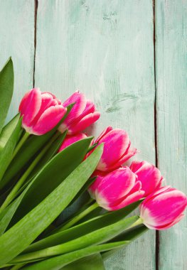 Turkuaz ahşap yüzey üzerinde pembe laleler