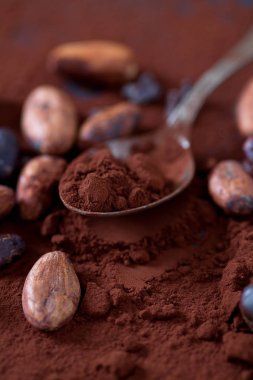 kakao çekirdekleri ve toz 