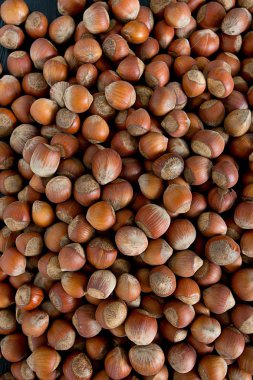 Kuru kahverengi fındık arka plan