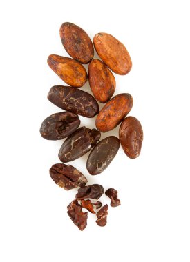 Kakao çekirdekleri ve çubukları izole edilmiş.