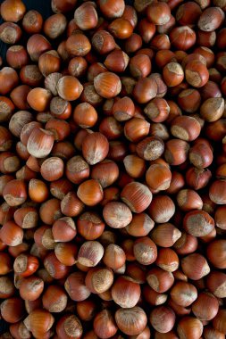 Kuru kahverengi fındık arka plan