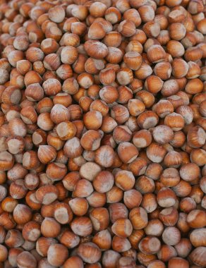 Kuru kahverengi fındık arka plan