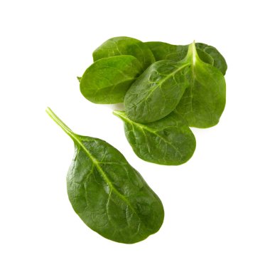 Beyaz arka plan üzerinde izole ıspanak