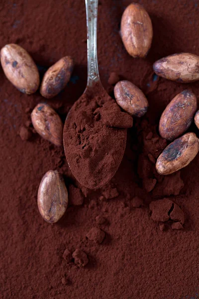 kakao çekirdekleri ve toz 