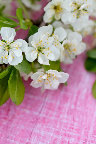 Spring Blossoms Wooden Table — Stock Photo, Image