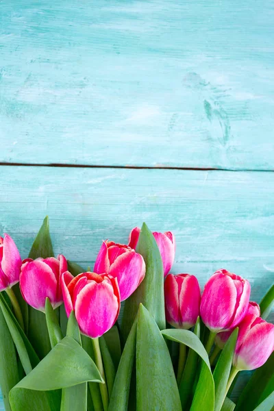 Turkuaz ahşap yüzey üzerinde pembe laleler