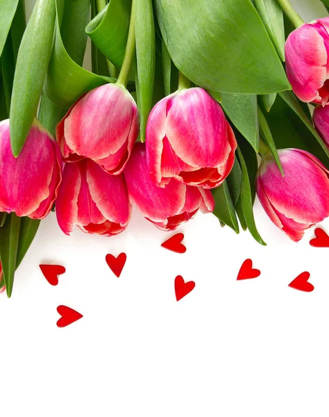 Růžové Tulipány Bílém Pozadí — Stock fotografie